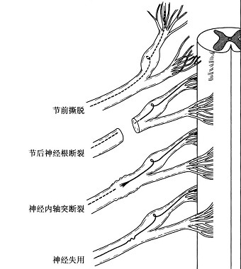 云南中德骨科醫院