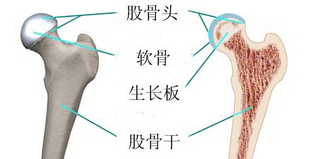 云南中德骨科醫院